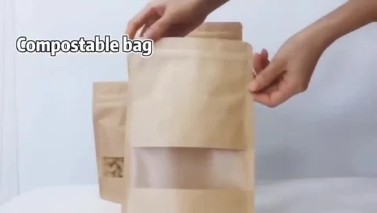 Bolsa de pie de papel Kraft con impresión personalizada Bolsa de proteína en polvo con cremallera y ventana transparente para embalaje de 500 g